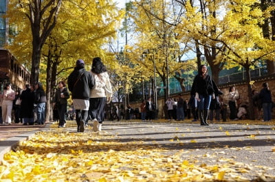 "전국 어디서든 자유롭게 문화 향유"…문체부 '문화배달 사업'추진