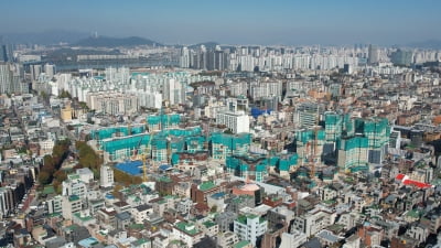 저출생 난리인데…"강남 로또 잡으려면 아이 둘은 있어야"