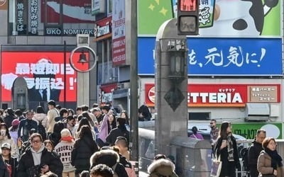 "떨이도 안사요" 발 동동…총체적 난국에 총리까지 나섰다