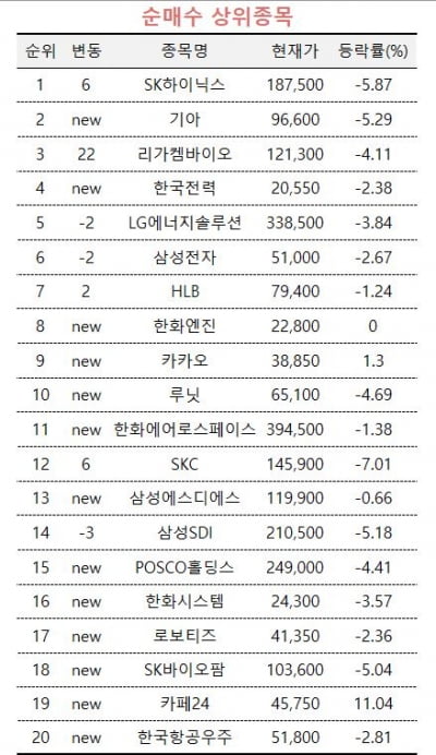 [마켓PRO]"딥시크·관세에 낙폭 과도"…SK하이닉스·기아 담는 초고수