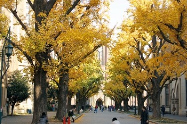 "직원 대신 학자금 대출 상환"…일손 부족 日기업 특단 대책