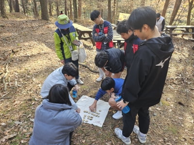 지난해 국민 10명 중 4명 산림휴양 경험