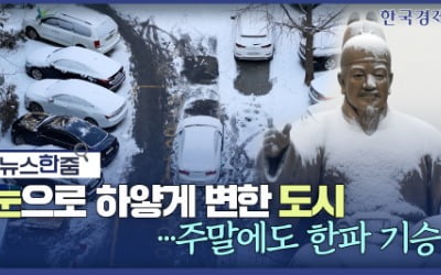 뉴스 한줌｜눈으로 하얗게 변한 도시…주말에도 한파 기승