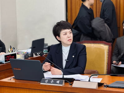 김은혜 "제주바카라 카지노 여객기 참사, 엔진결함 가능성도 조사해야"