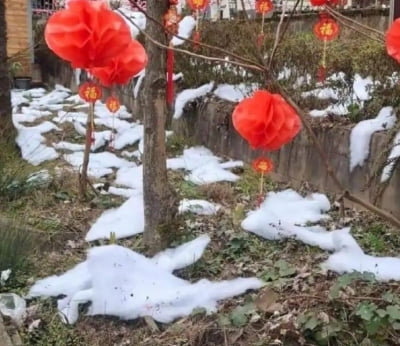 눈 천지라더니 솜 천지…가짜 설경 만들어 홍보한 중국