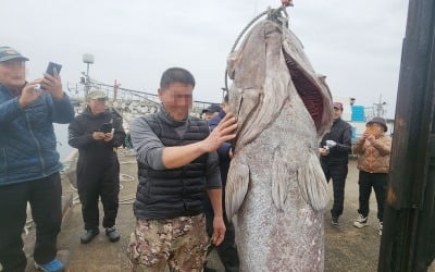 한 시간 사투, 183㎝·140㎏ '전설의 심해어' 들어 올렸다