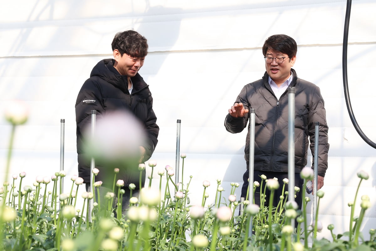 권재한 농촌진흥청장이 지난 19일 전북 완주군에서 화훼농장을 운영하는 청년농업인을 만나 영농 현장을 살펴보는 모습. 연합뉴스