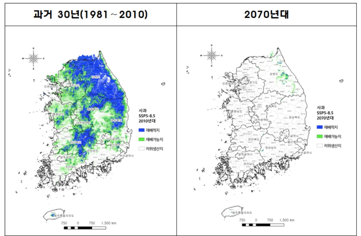 기후변화 시나리오(SSP5)를 적용한 사과 재배지 변동 예측지도./사진=농촌진흥청