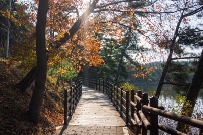 [3월 추천여행지] 봄 기운에 어깨 활짝, 출렁다리 건너고 봄 체절 음식도 맛보고