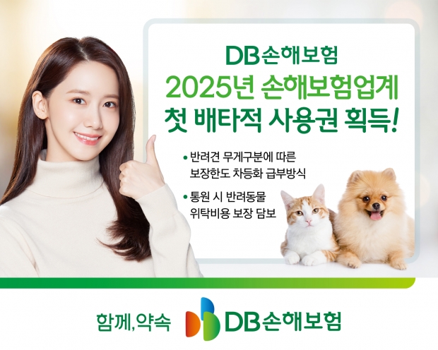 DB손해보험, 펫보험 2개 항목 2025년 손보업계 첫 6개월 배타적 사용권 획득