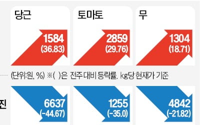 설 지났는데도 배추·무 고공행진