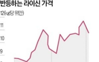 라이신 '저가 터널' 탈출…유럽·中서 동시 반등