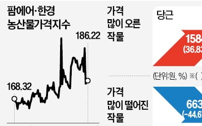 설 지났는데도 배추·무 고공행진