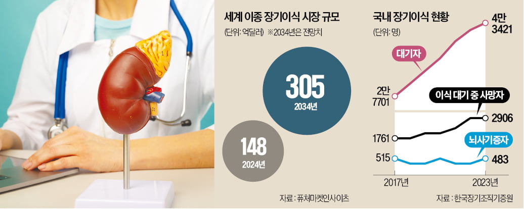 "돼지 신장으로 사람 살린다"…이종토토 카지노 상용화 눈앞