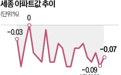 청약시장은 들썩였지만 세종 아파트값 "글쎄요"