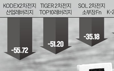 메타버스 ETF, 줄줄이 상폐…떨고있는 2차전지 테마