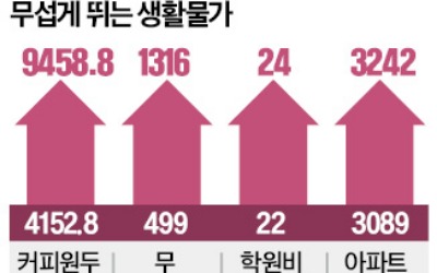 묻지마 高물가…"오늘이 가장 싸다"