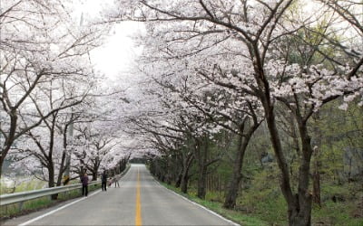 단 15분밖에 없다면 뭘 할까요? [고두현의 아침 시편]