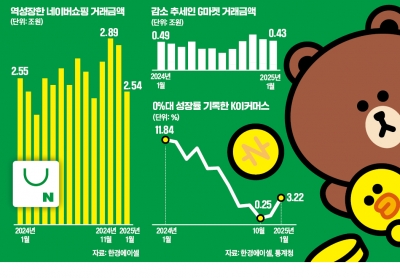 네이버쇼핑 '초유의 상황' 벌어지더니…쿠팡마저 '흔들'