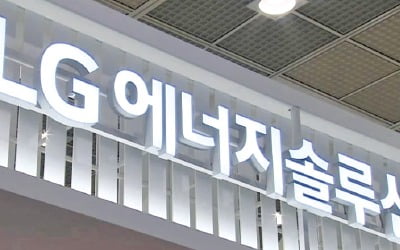 LG그룹, 연초부터 전방위 자금 조달 나섰다