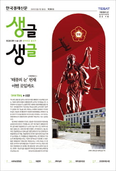 '태풍의 눈' 헌법재판소