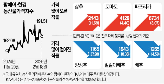 '롤러코스터' 탄 카지노 차무식