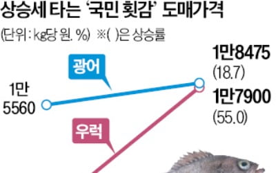 작년 여름 폭염에 폐사하더니…광어·우럭 횟감 고공행진