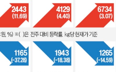 '롤러코스터' 탄 양상추값