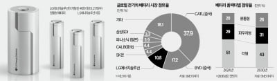 머스크 목매던 '차세대 배터리' 등장…LG·SK·삼성의 혁신 승부수