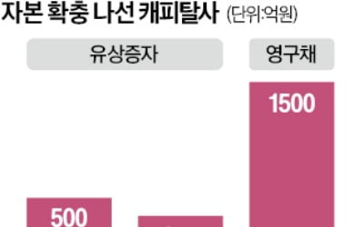 키움·DB '증자', 하나 '영구채'…자본확충 속도내는 캐피탈社