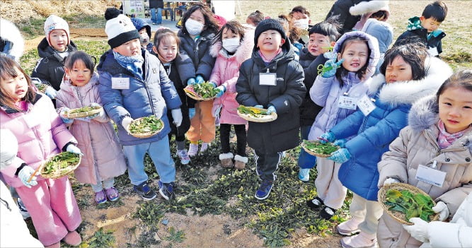 [포토] 고사리 카지노 잭팟"봄나물 캤어요"