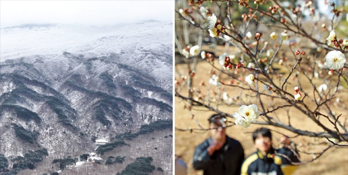 [포토] 가는 하이 로우 토토 사이트, 오는 봄