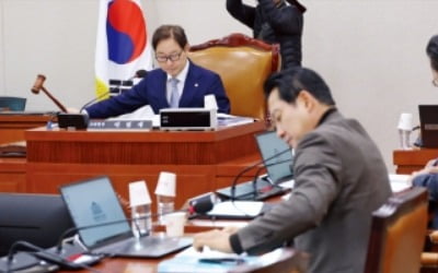 기업주도 성장 한다더니…野, 상법개정 밀어붙였다