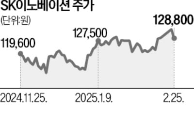 SK이노 E&S "LNG 1000만t 확보"