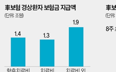 교통사고 '나이롱환자' 고액 합의금 못받는다