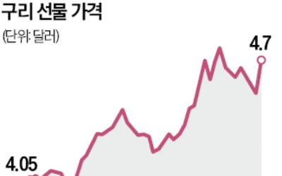 관세 조사 말 꺼내자, 구리가격 하루 3% ↑…광산업체 주가도 '껑충'