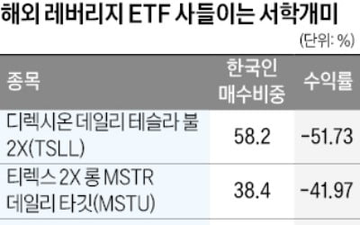 테슬라 믿고 10억달러 베팅했는데 어쩌나…'개미의 눈물'