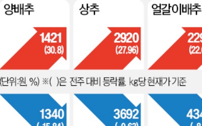 이상기후에 멸치·고등어·갈치 씨 마른다