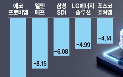 '형님들, 풀베팅 괜찮을까요?'…2차전지 종토방 '시끌시끌'