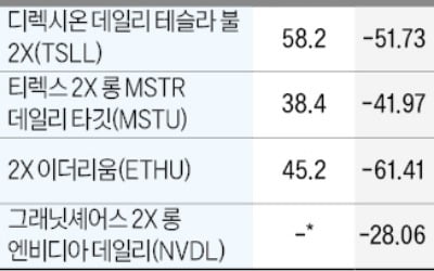 테슬라 2배 ETF 베팅 '개미의 눈물'