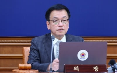 [단독] 국정 컨트롤타워 '최상목 업무지원단' 출범…단장에 김범석 차관