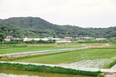 남편이 조카에게 몰래 준 땅, 유류분 반환 대상 될까