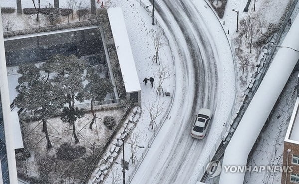 대구에 쏟아진 눈…1㎝ 적설에 '난리통'