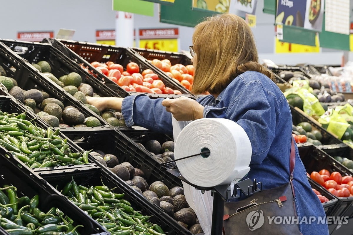 EU, 美에 '맞불 관세' 시동...기준 강화 검토