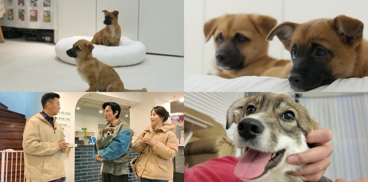 사진=SBS 제공