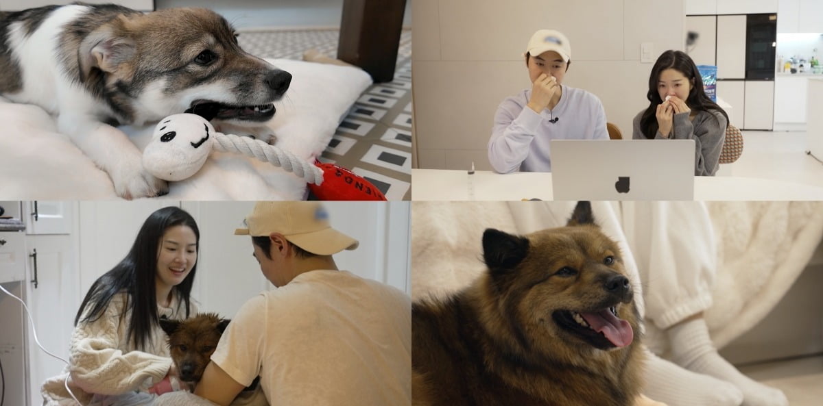 사진=SBS 제공