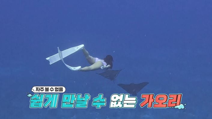 [종합] "가치 100배 이상"인데 어쩌나…안정환, 무지로 놓친 횡재 기회('선넘패')