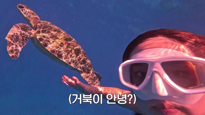 [종합] "가치 100배 이상"인데 어쩌나…안정환, 무지로 놓친 횡재 기회('선넘패')
