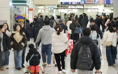 '바가지요금'에 실추된 관광 이미지…제주시 개선 나섰다