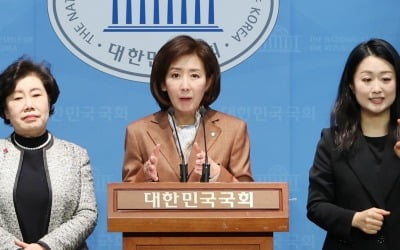 나경원 등 '돌아온 의원들', "이재명 여의도 대통령 행세"